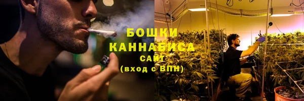 амф Арсеньев