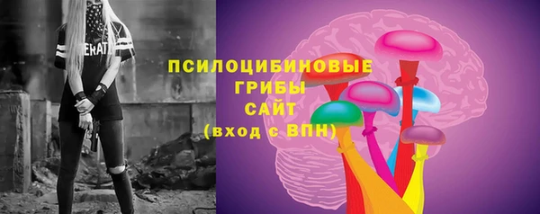 спайс Баксан