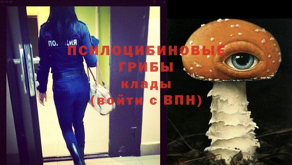 сатива Балахна