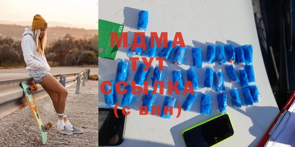 индика Алексин