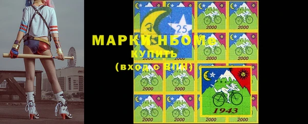 прущие грибы Гусев