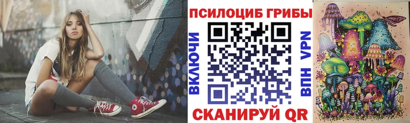 наркота  Козьмодемьянск  дарк нет формула  Галлюциногенные грибы Psilocybe 